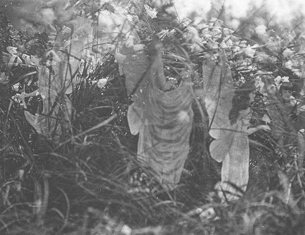 Cottingley-sunbath.jpg