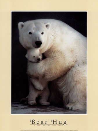 Bear-Hug-Posters.jpg