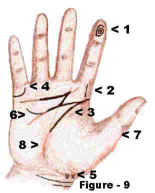 Hand Diagram.jpg