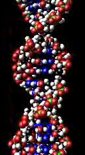 125px-DNA123.png