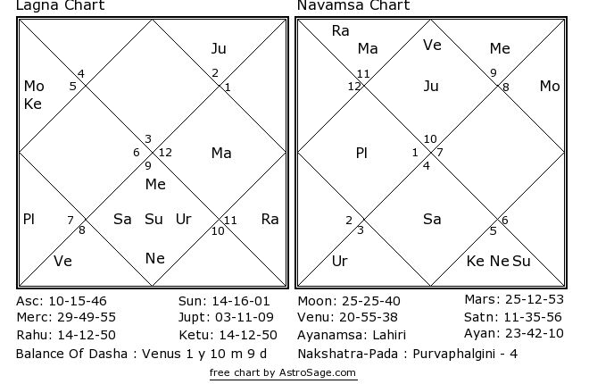 vedic chart.jpg