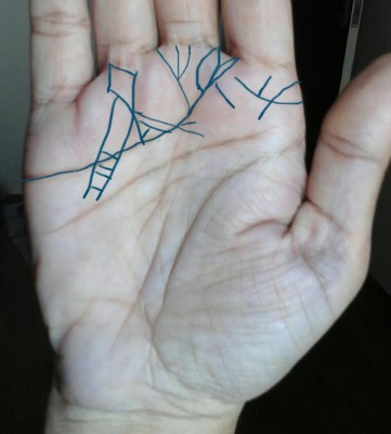 dominant hand other lines on mounts and heart line.jpg